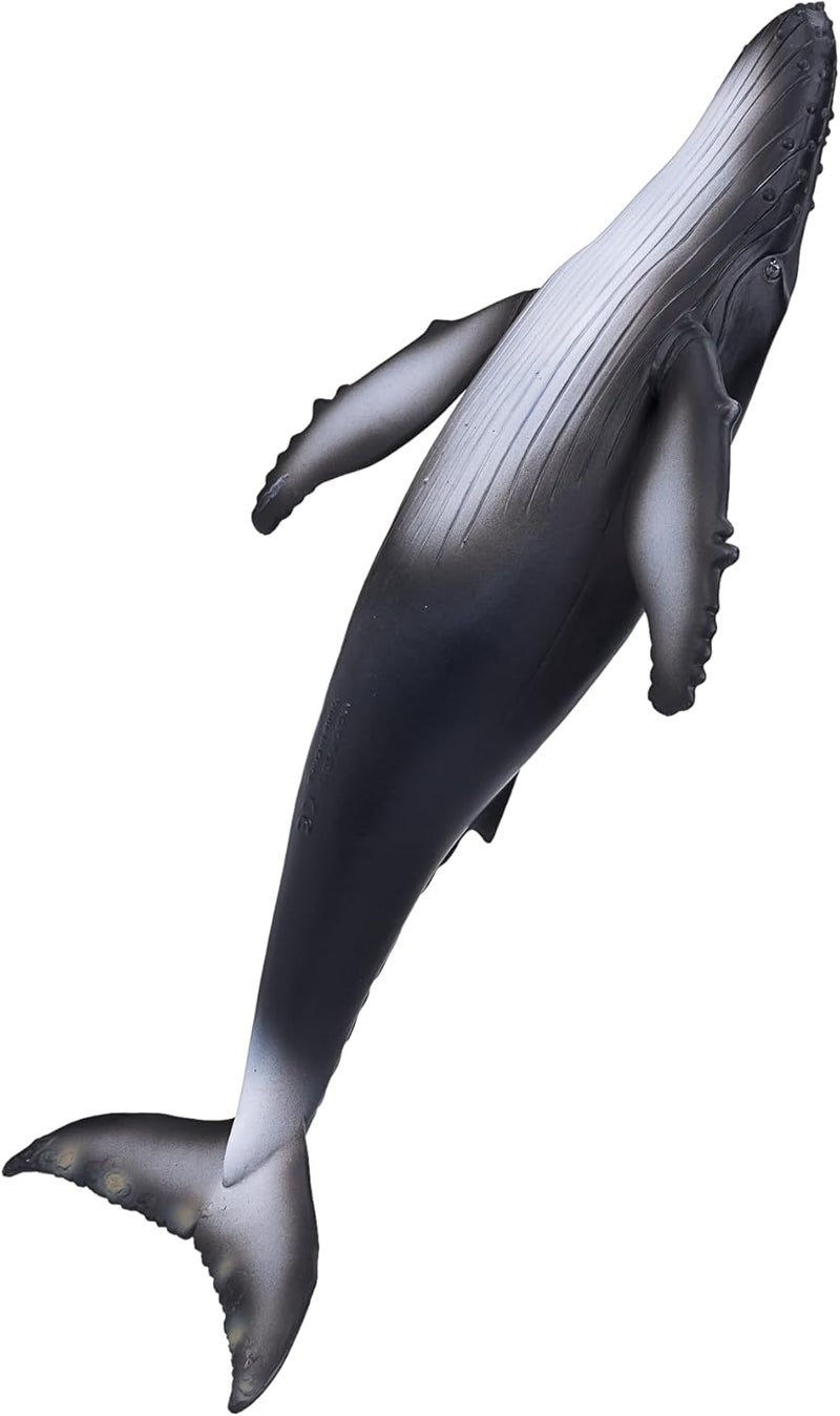 MOJO Humpback Whale Realistic International Wildlife Hand Painted Toy Figurine - Image 3